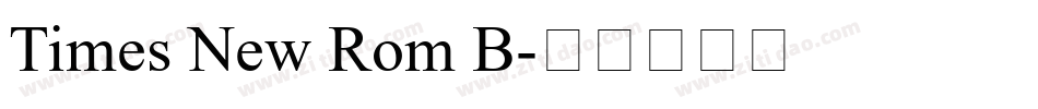 Times New Rom B字体转换